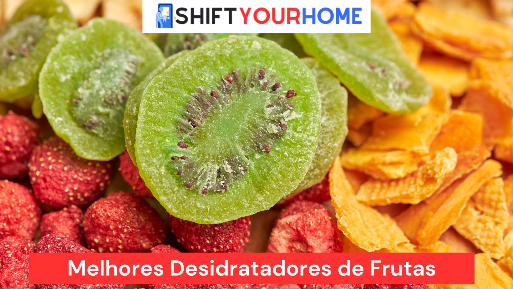 Melhores Desidratadores de Frutas